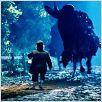 El Señor de los Anillos: La Comunidad del Anillo : foto Peter Jackson