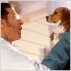Como perros y gatos : foto Jeff Goldblum, Lawrence Guterman