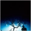 Jeepers Creepers : foto Victor Salva