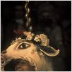 Amadeus : foto Tom Hulce