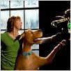 Scooby-Doo 2: Desatado : foto Matthew Lillard