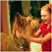 Mi mejor amigo : foto AnnaSophia Robb, Wayne Wang