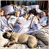 Míos, Tuyos y Nuestros : foto Raja Gosnell