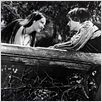 Romeo y Julieta : foto Franco Zeffirelli, Leonard Whiting, Olivia Hussey