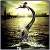 The Host : Cartel
