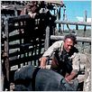 Sin perdón : foto Clint Eastwood