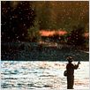 El río de la vida : foto Robert Redford