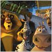 Madagascar 2 : foto Eric Darnell