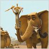 Madagascar 2 : foto Eric Darnell