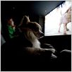 Un chihuahua en Beverly Hills : foto Raja Gosnell