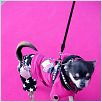 Un chihuahua en Beverly Hills : foto Raja Gosnell