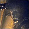 El hombre lobo : foto Benicio Del Toro, Joe Johnston