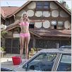 Una conejita en el campus : foto Anna Faris, Fred Wolf