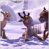Nico, el reno que quería volar : foto Kari Juusonen, Michael Hegner