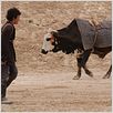 El caballo de dos piernas : foto