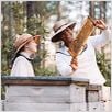 La vida secreta de las abejas : foto