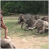 Ong Bak 2 - La leyenda del Rey Elefante : foto