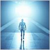Tron Legacy : foto Joseph Kosinski