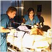 Miami Medical : foto Lana Parrilla, Mike Vogel