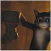 El gato con botas : foto Chris Miller, Chris Miller (II)