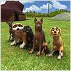 Valentino y el Clan del Can : foto