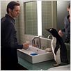 Los pingüinos del Sr. Poper : foto Jim Carrey, Mark Waters