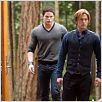 La saga Crepúsculo: Amanecer - Parte 1 : foto Bill Condon