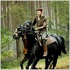 War Horse (Caballo de batalla) : foto David Kross, Steven Spielberg