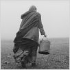 The Turin horse : foto