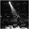 The Swell Season : foto