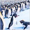 Happy Feet 2 : foto George Miller