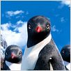 Happy Feet 2 : foto George Miller