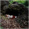 A Pas de Loup : foto