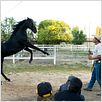 Flicka: Country Pride : foto