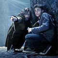 Harry Potter y la Orden del Fénix : Foto Daniel Radcliffe, Gary Oldman