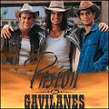 Foto : Pasión de gavilanes