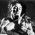 El cabo del terror : Foto Gregory Peck, Robert Mitchum