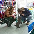 La entrega : Foto Noomi Rapace, Tom Hardy