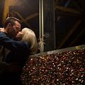 Collide : Foto Felicity Jones, Nicholas Hoult