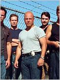 The Shield