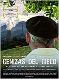 Cenizas del cielo