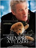 Siempre a tu lado. Hachiko