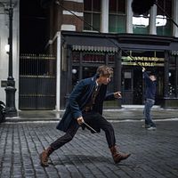 Animales fantásticos y dónde encontrarlos : Foto Eddie Redmayne