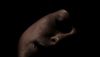 <strong>Luna caliente</strong> Clip (2)