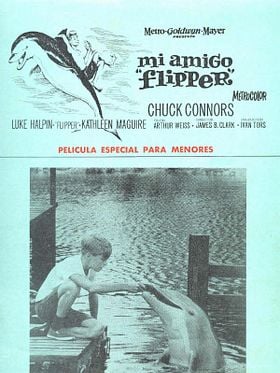 Mi amigo Flipper