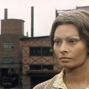 Resultado de imagen para pelicula los girasoles de rusia