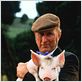 Babe, el cerdito en la ciudad : foto George Miller, James Cromwell