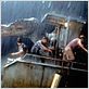 Jurassic Park III (Parque Jurásico III) : foto Steven Spielberg