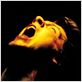 La Vie nouvelle : foto Zachary Knighton