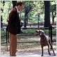 Sucedió en Manhattan : foto Ralph Fiennes